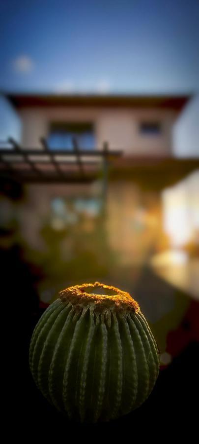 ラハレス La Atalaya Del Guirreヴィラ エクステリア 写真